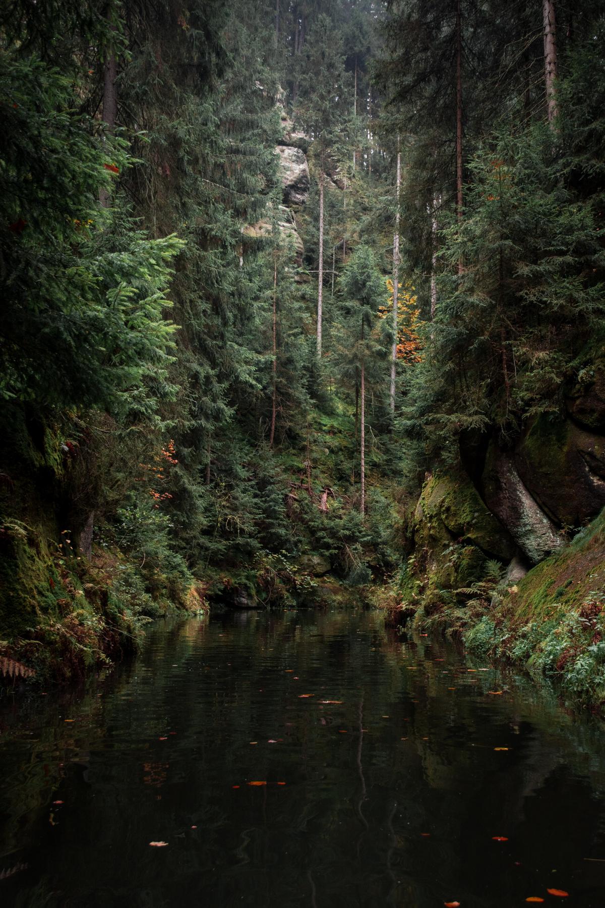 hinterhermsdorf-klamm-saechsische-schweiz-herbst-kahnfahrt