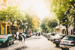 Vegane Karte Berlin Friedrichshain